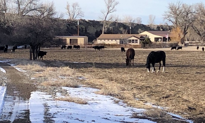 Basin House | Beautiful private Big Horn River Ranch House