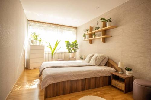 Valmiera Apartment | Beautiful & spacious apartment in Valmiera
