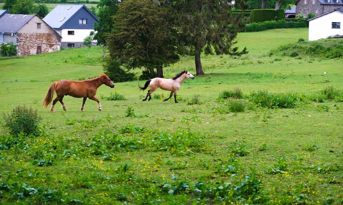 Medendorf Other | Beautifully renovated farmhouse of 1872