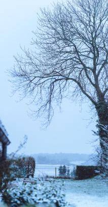 Hundstrup Bed & Breakfast | Bed and breakfast