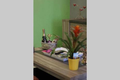 Beaune House | BELENA GOLD COAST