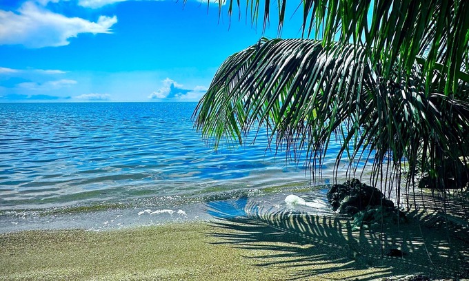 Forest Home House | Belize Bay Estate - private estate on the Caribbean shore.
