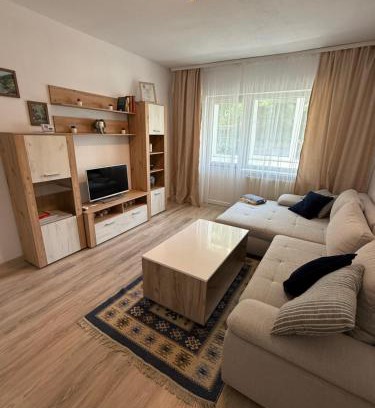 Lugoj Apartment | Bella Home 2, your place to stay in Lugoj