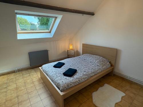 Anneux House | Belle Dame
