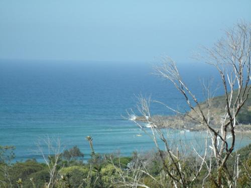 Scotts Head Apartment | Benji's By The Sea