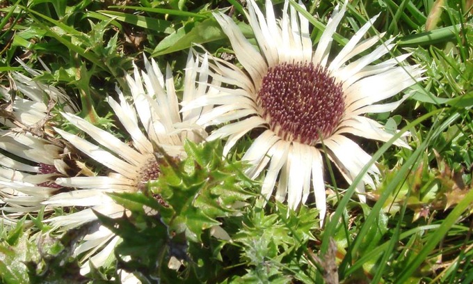 Hammersbach Hotel | Berghotel Hammersbach