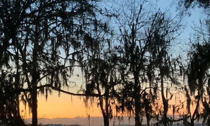 Florahome House | Best kept secret-peaceful, lakeside villa on George's Lake