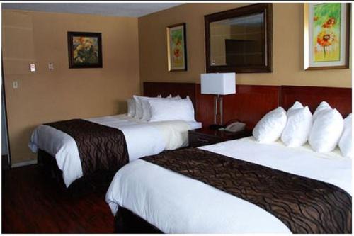Lloydminster Hotel | Best Lodge Motel