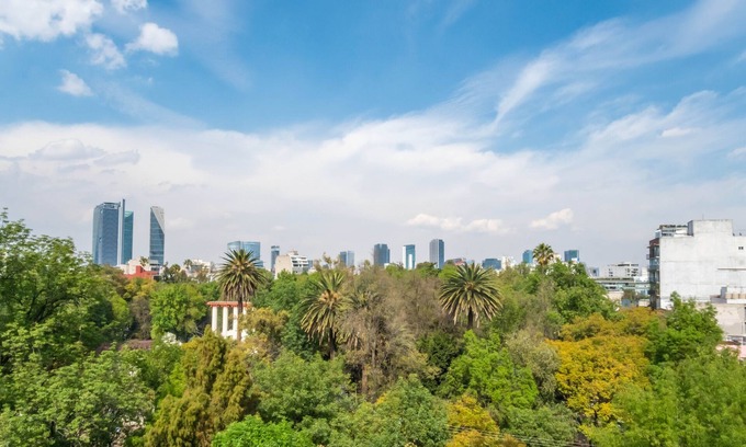 Hipodromo Condo | Big, Bright, Renovated Mexico City Apartment Facing Gorgeous Park in La Condesa