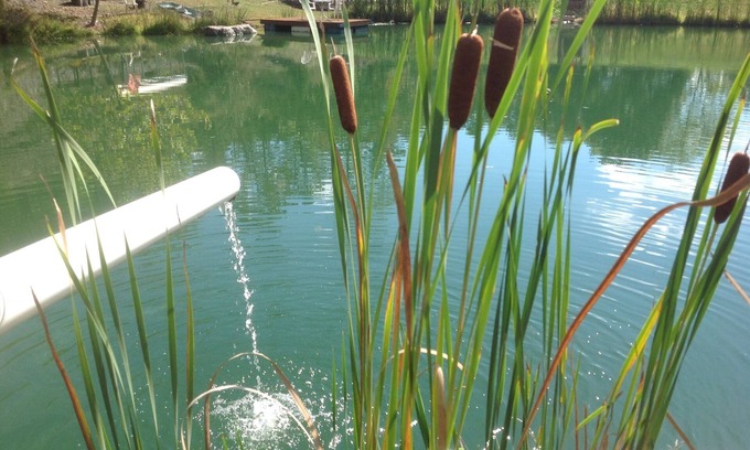 Cumberland RV Rental | BIG D's POND & North Branch of the Potomac river Camping.