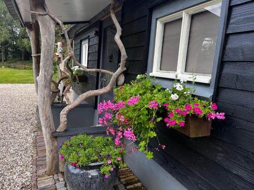 Wenum-Wiesel House | Bij Boom