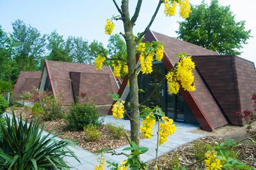 Rijsbergen Cabin | Bij Het BuitenGoed