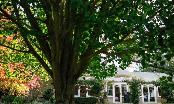 Woodlands Cottage | Bimbadgen Cottage. 10 mins from town.