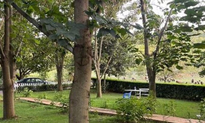Librazhd Bed & Breakfast | Biona Farm : Basic Triple Roomn