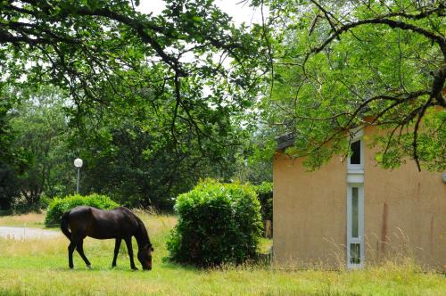 Cuxac-Cabardes House | Black Mountain Village