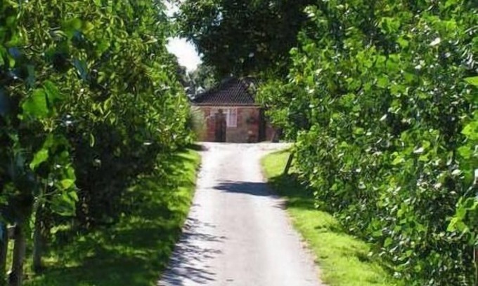 Potterne Bed & Breakfast | Blounts Court Farm