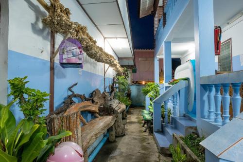 Pai Hotel | Blue House Pai