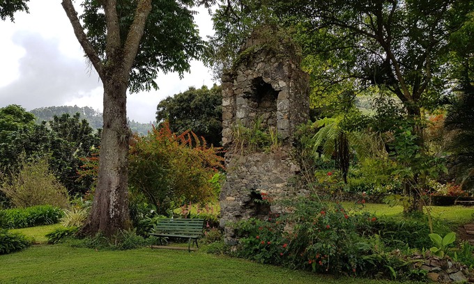 Silver Hill Gap Cottage | Blue Mountains Jamaican Vacation