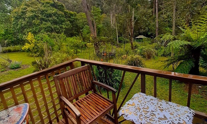 Hazelbrook Apartment | Blue Mountains studio, wild native garden full of birds, week-long stay 30% off