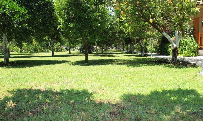 Cirali House | Blue Paradise Pension