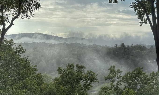 Horse Shoe Cabin | Blue Ridge Views - 2 King Beds - Near the Ecusta Trail - No Stairs - Private