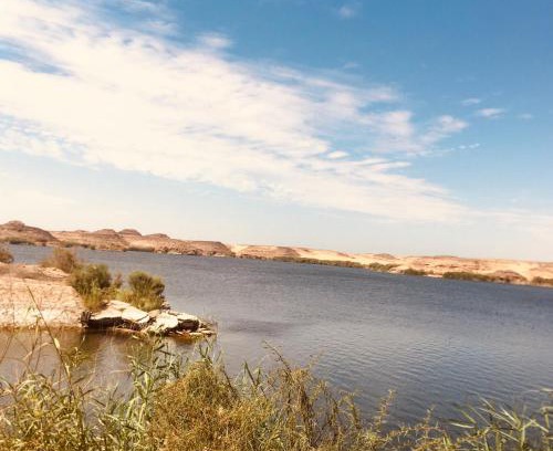 Abu Simbel Apartment | Blue rose