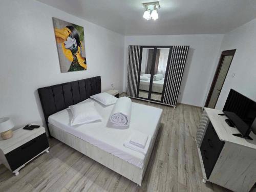 Orastie Apartment | BlueBee Apartment