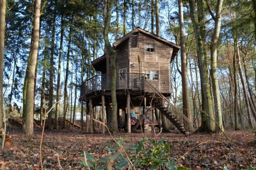 Drouwen Apartment | Boomhut Drouwenerzand