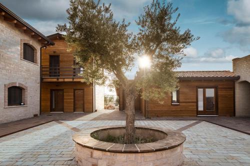Pietrelcina Apartment | Borgo Olivo