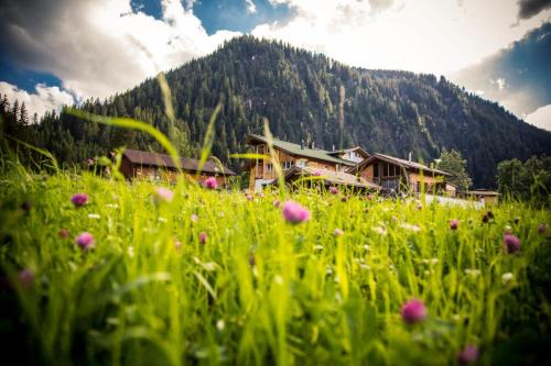 Haldensee Apartment | Braito's Seaside Lodges und Suites, Ferienhäuser und Ferienwohnungen