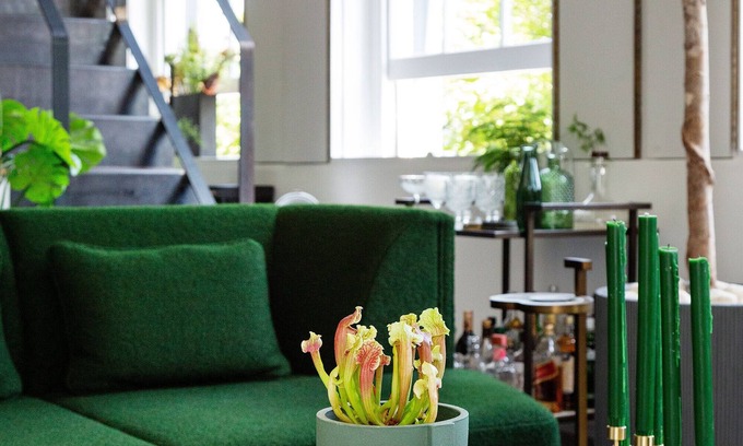 Tollington Apartment | Brazilian Trailblazer, by Veeve
