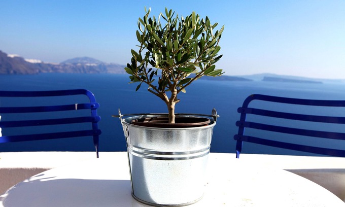 Oia Villa | Breathtaking Caldera View, Great Comfort, Romantic And Fully Revamped.