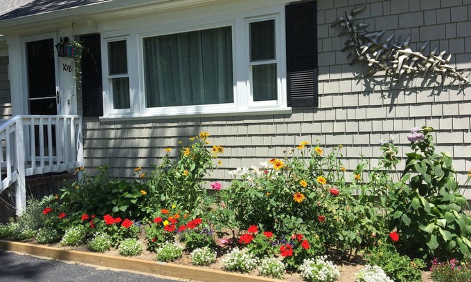 Cotuit House | Bright, Cheerful, Fully Renovated, Central AC, Quiet House Close to Beaches