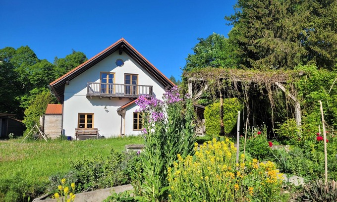 Rott House | Bright holiday home in a clearing