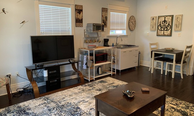 Leonidas Apartment | Bright, Roomy, Private 1/1 in Historic Riverbend