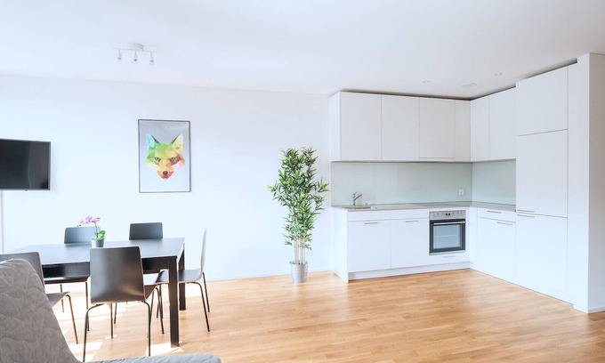 Basel City Centre Apartment | BS Fox II - Messe HITrental Apartment