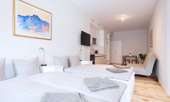 Basel City Centre Apartment | BS Hodler II - Marktplatz HITrental Apartment