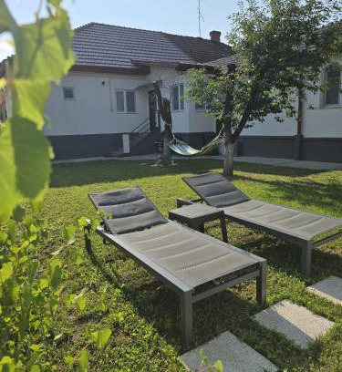 Hunedoara House | BTP House