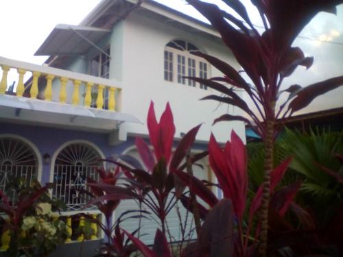 Buff Bay House | BUCKINGHAM VILLA -SUITES FULL KITCHEN-Rooms Variety