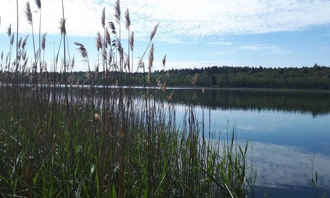 Murchin House | Bungalow by the lake in the nature reserve near the island of Usedom