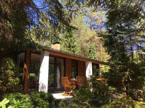 Borkwalde House | Bungalow im Wald