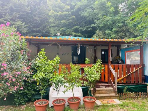 Ameglia Resort | Bungalow Stefy- Ameglia