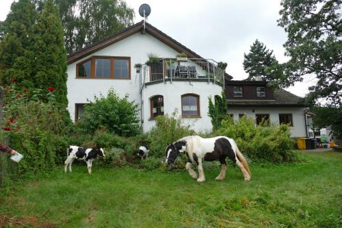 Sulzbach an der Murr Apartment | Bushof - Leben auf dem Land