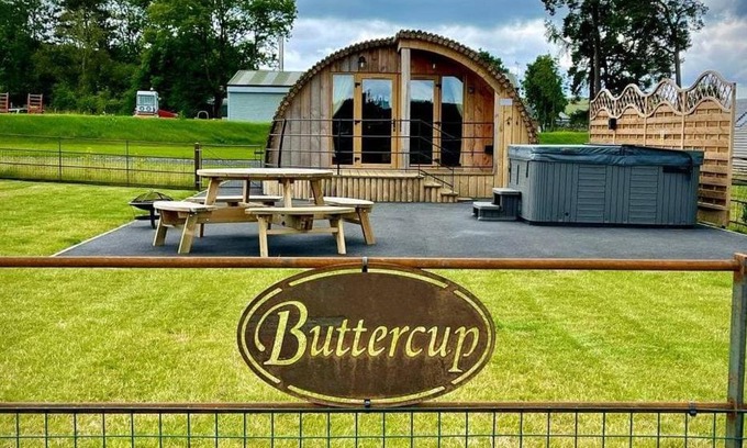 St Harmon House | Buttercup