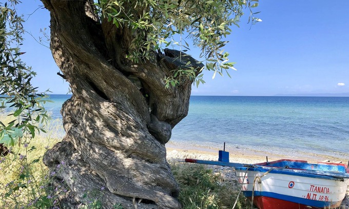 Prinos Villa | Byblos Luxury Villa
