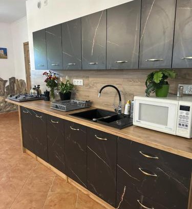 Solina House | Całoroczny Domek pod Brzozami