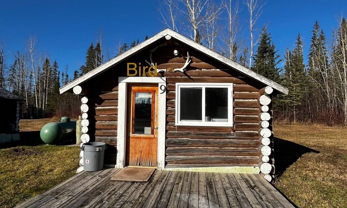 Northern Ontario Cabin | Buck Fever Services - Loding, Convenience +, Fluids, Wifi, Outdoors, Rental, etc
