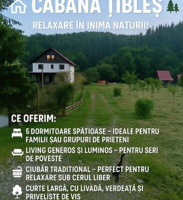Cosbuc House | Cabana Țibleș