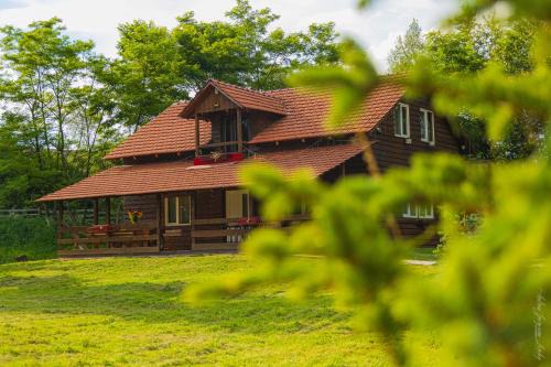 Poieni House | Cabana Amis