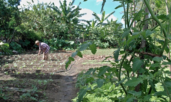 Puerto Esperanza House | Cabana del Sol - Ecological Farm